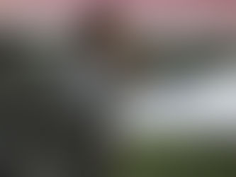 FEMENIL | Edgar “Chore” Mejía deja de ser técnico de Chivas Femenil