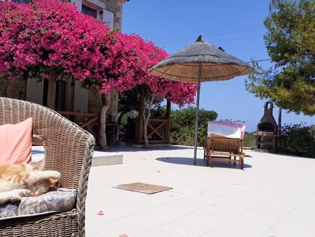 Kretas Sommerorchester