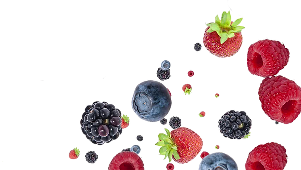 Tooth Berry Kids Dental