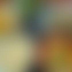 ７月の料理教室