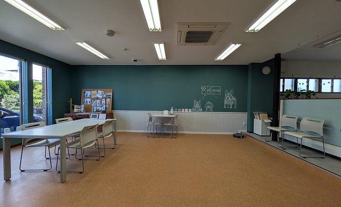 PXL_20260416_022617470.jpg