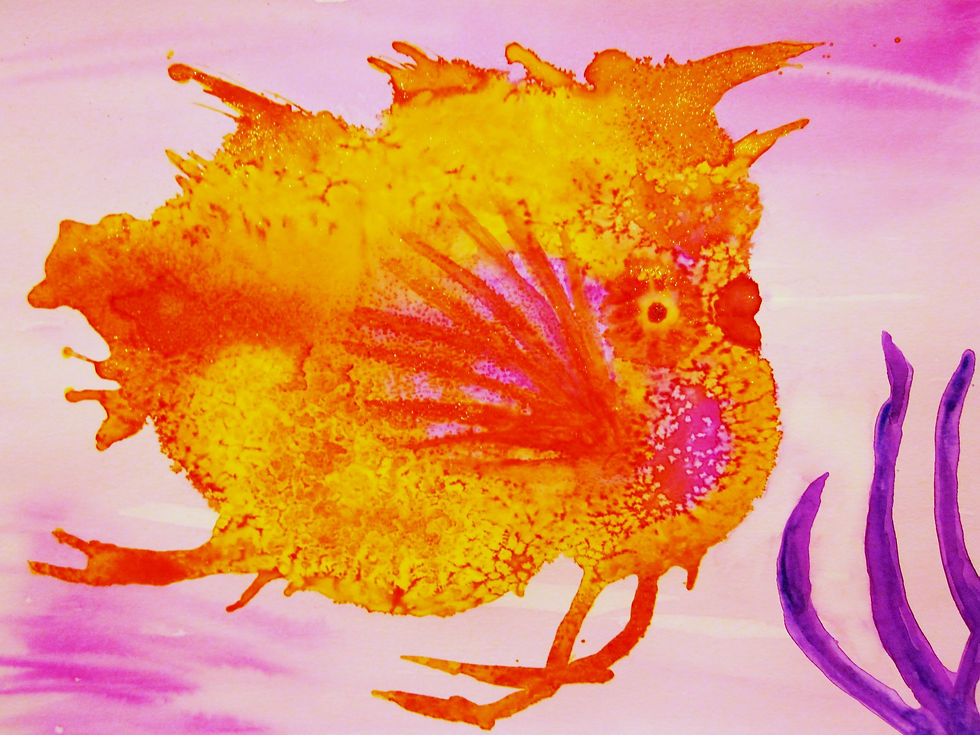 'Coral'