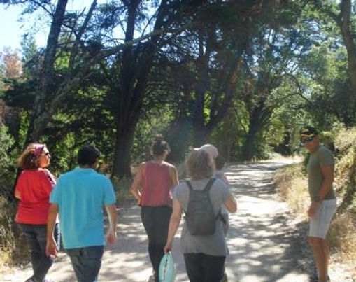 08 Caminhada na Mata da Machada