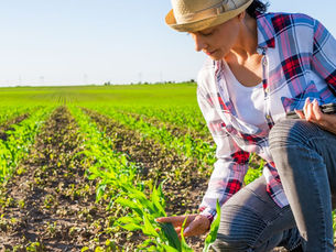 Santo Eduardo recebe a 21ª edição da Feira AgroCultural e celebra um ano de valorização do agro local