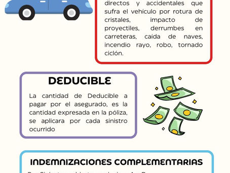 Seguro de Automóvil: Sección I Daños Propios