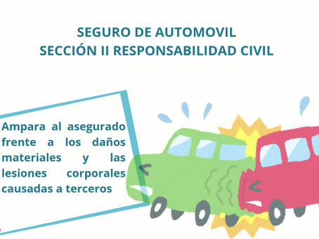 Seguro de Automóvil: Sección II Responsabilidad Civil