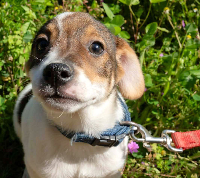 Γεννήθηκε τον Ιανουάριο του 2026