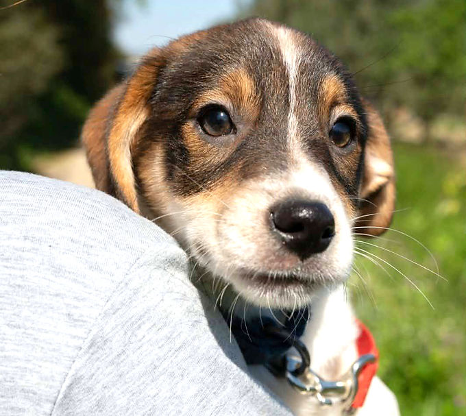 Γεννήθηκε τον Ιανουάριο του 2026