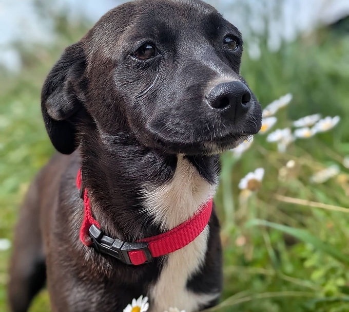 Né(e) en décembre 2025