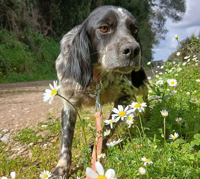 Né(e) en janvier 2024