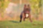 image1.jpeg