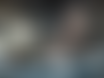 Lo sconforto del bonus - La manna del Leviatano