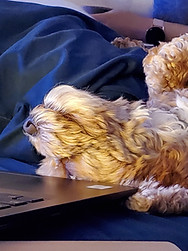 lana 2 crop.jpg