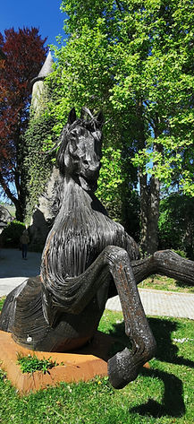 IMG_20260423_144724_1.jpg