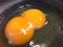 奥久慈しゃものたまご