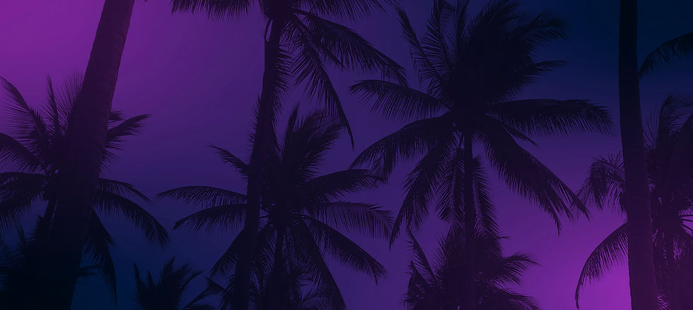 Palm Trees.jpg