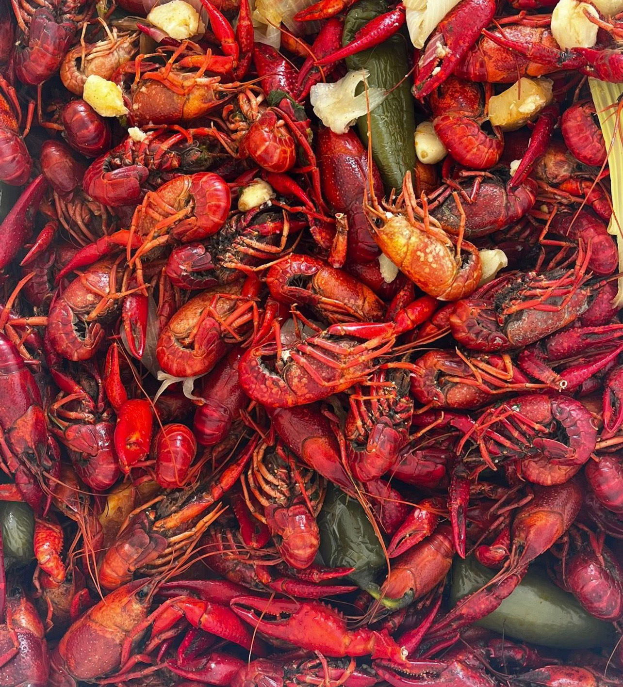 #122 Bayou Boil – Crawfish 1lb