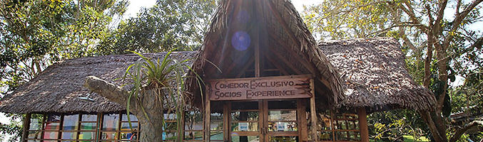 ON-VACATION-AMAZONAS-HOTEL-AMAZON-RESTAU