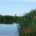 2007_0801ferterakos-mörbisch0073.JPG
