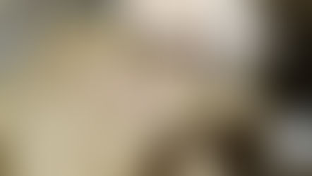 Welcome Boris and Dominic!  Appeared in the Field Today.. 