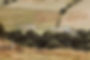 abbeyfarmcottage panoramic.jpg