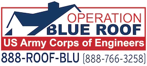 blue roof.webp