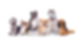 DOGS GODSS.png