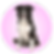 Regular Dogs are between 12" and 17". Ex: Border Collie, Shih Tzu, Sheepdog