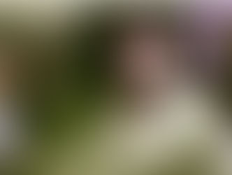 Director Debuts: Peter Jackson's First Film