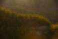 pexels-kassandra-11027508_edited.jpg