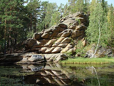 i - 2022-03-12T215048.656.jfif
