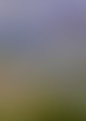 Monet, Painting #1 (middle), Step 1 & 2