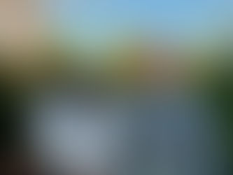 An Apology and a Reflection