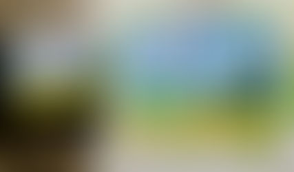 I have been doubting my painting abilities.