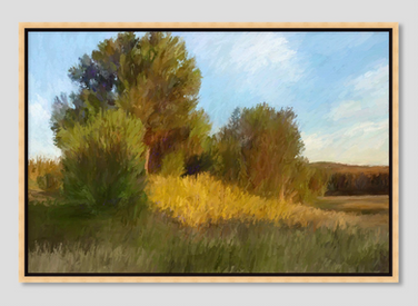 Week 12, 2023! What do you think of them apples?