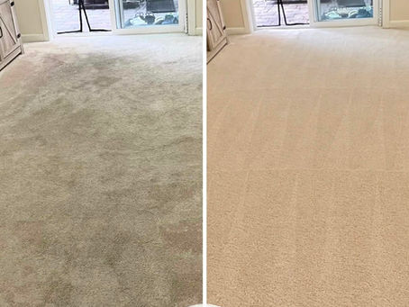 Carpet Cleaning in Tulalip, WA
