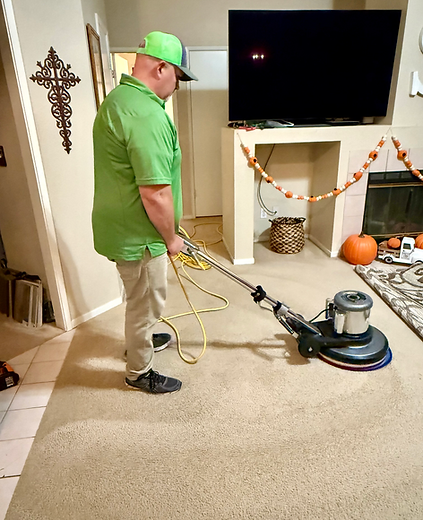 local-old-fig-garden-carpet-cleaner