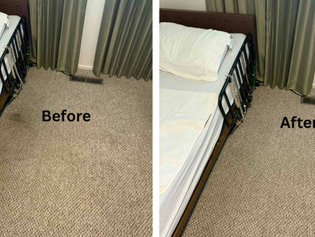 How This Carpet Was Cleaned and Sanitized After an Accident - Stain Removal Results