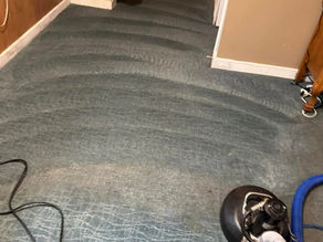 Restoration Carpet Steam Cleaning in Aurora Hills, CO