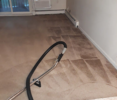 Apartment Carpet Cleaning in Des Plaines, IL