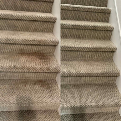 professional carpet stain removal service