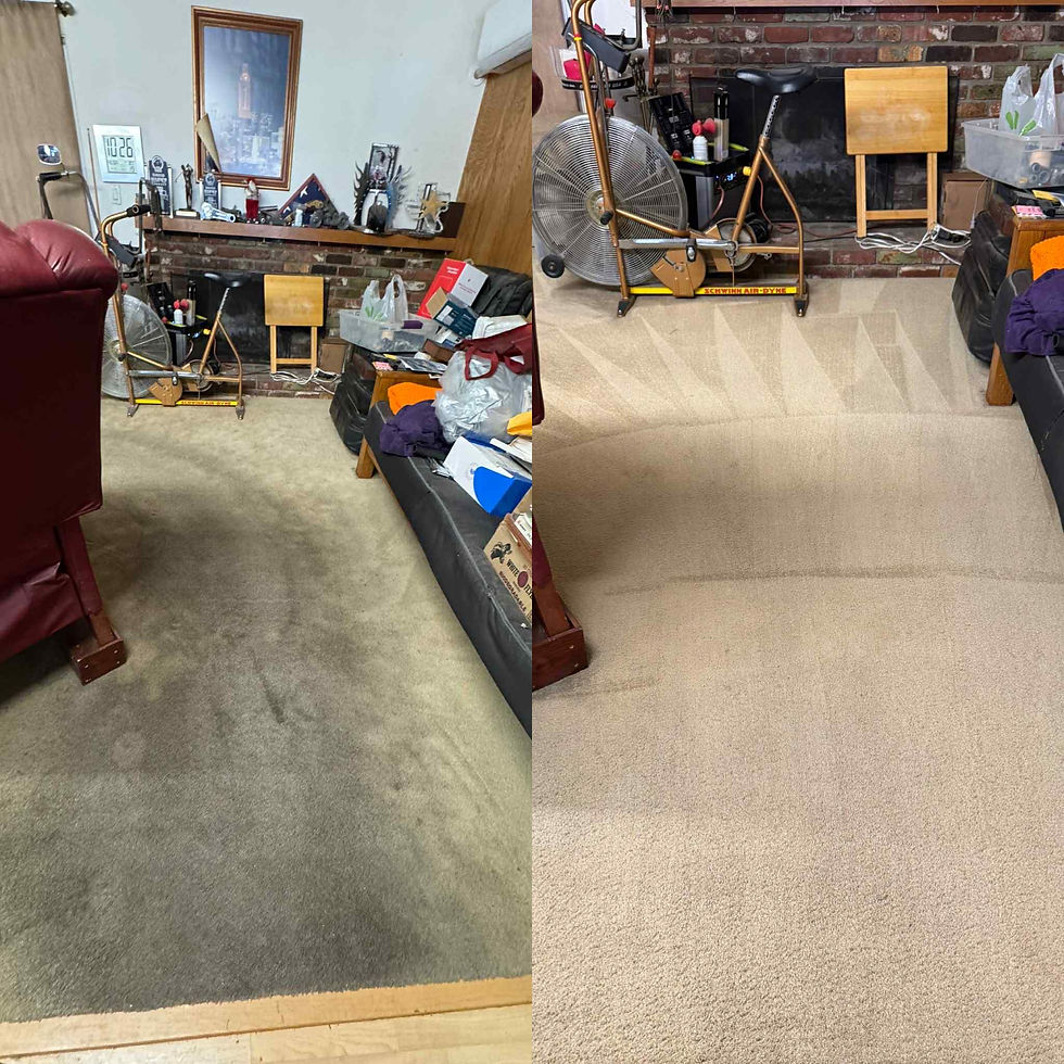 Living Room Carpet Cleaning and Traffic Lane Removal in Thousand Oaks, CA
