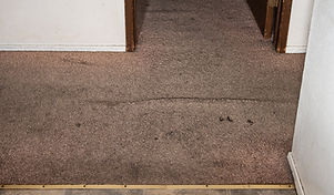 apartment-carpet-cleaning-wonder-lake-il