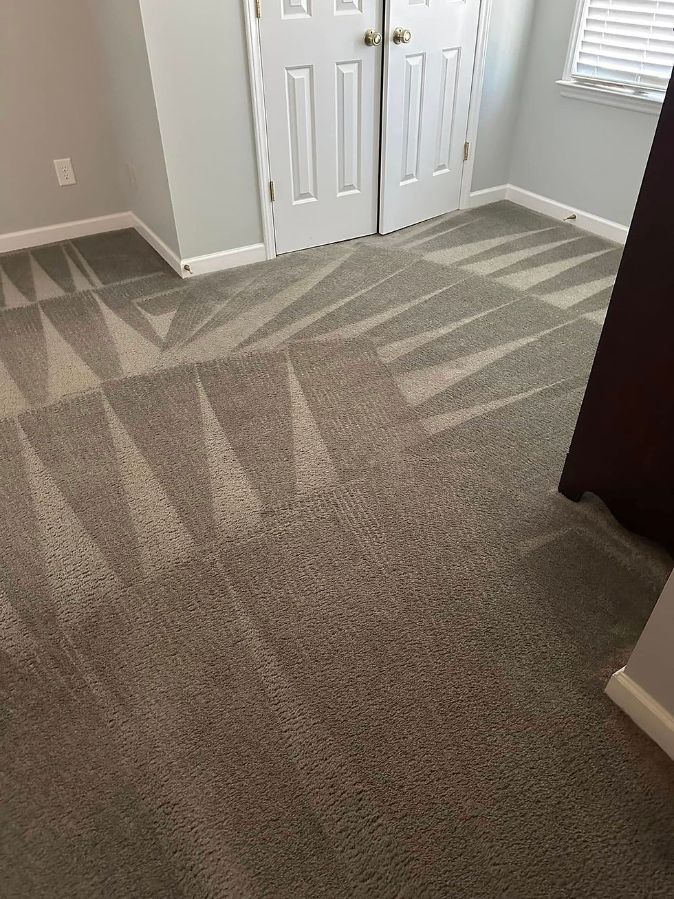 Professional Steam Cleaning Gave This Carpet a Fresh Start