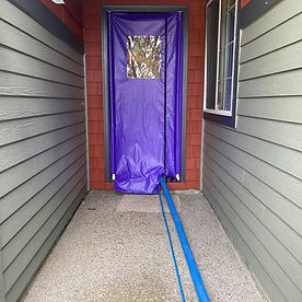 Masterful Carpet Cleaning