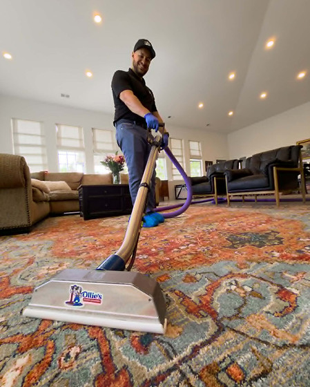 carpet-rug-cleaning-wellington-co
