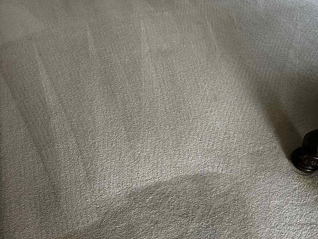 Gibsonville, NC Carpet Cleaning Services