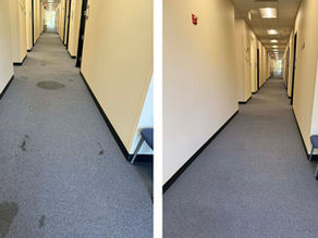 Removing Stains from Commercial Glue Down Carpets