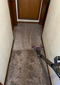 Masterful Carpet Cleaning