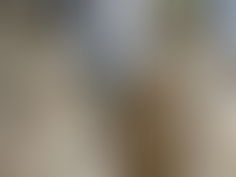 Two Room Carpet Cleaning Service in Burlington, NC